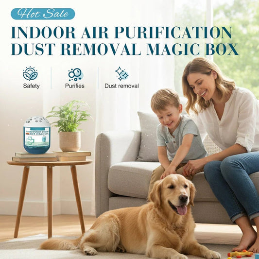 🔥 Limited-Time Pre-Sale⏰Indoor Air Purification Dust Removal Magic Box🏠